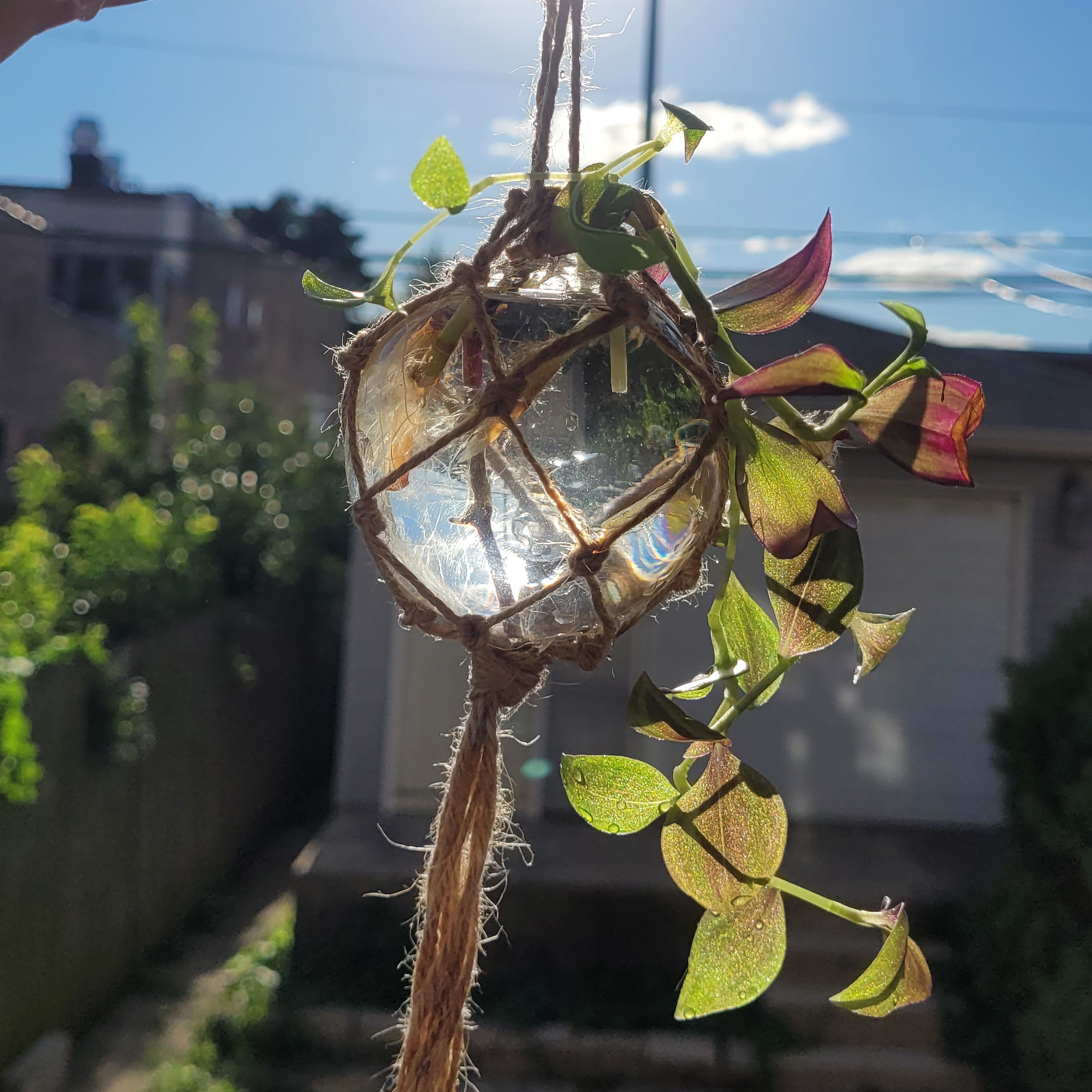 Propogation Orb 1