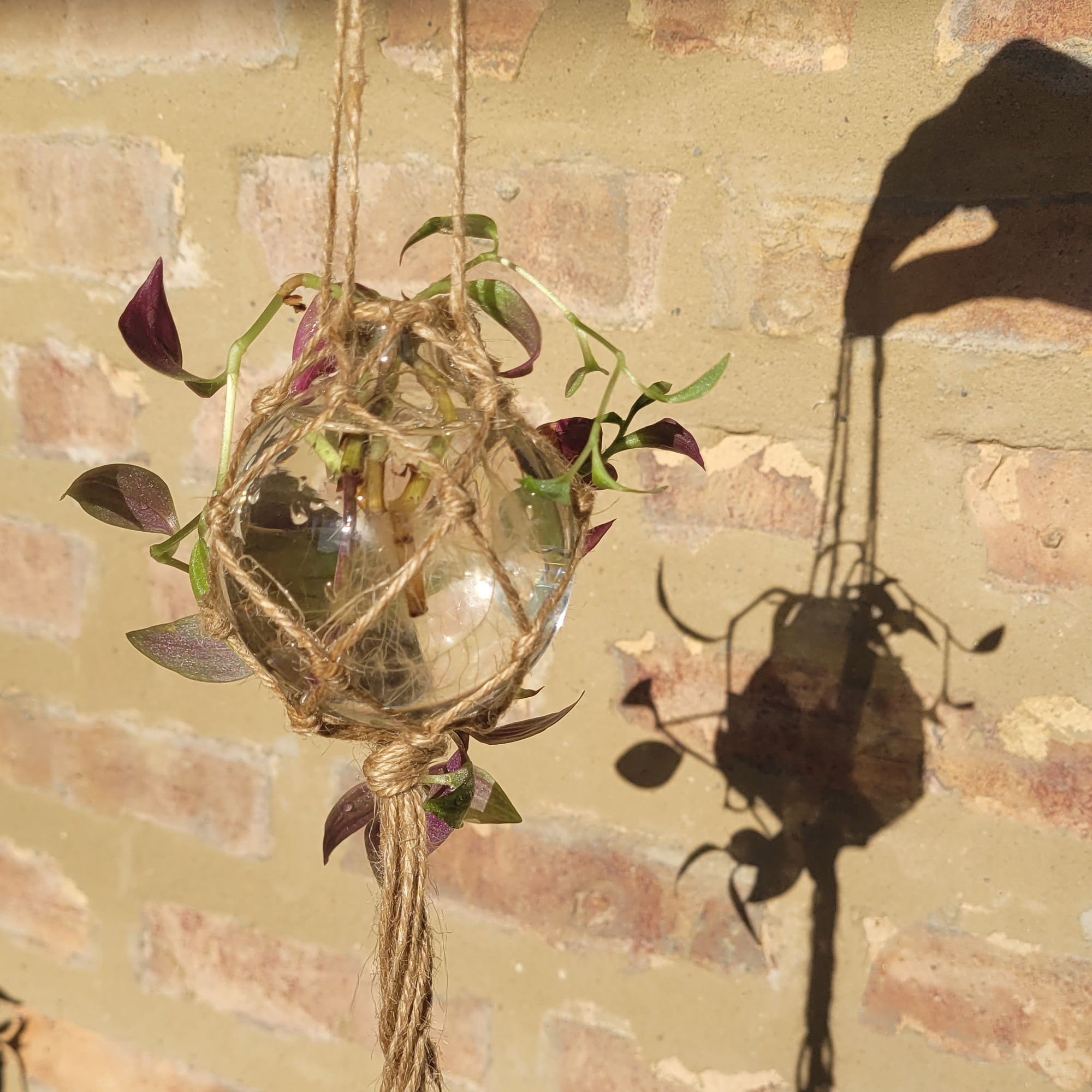 Propogation Orb 2