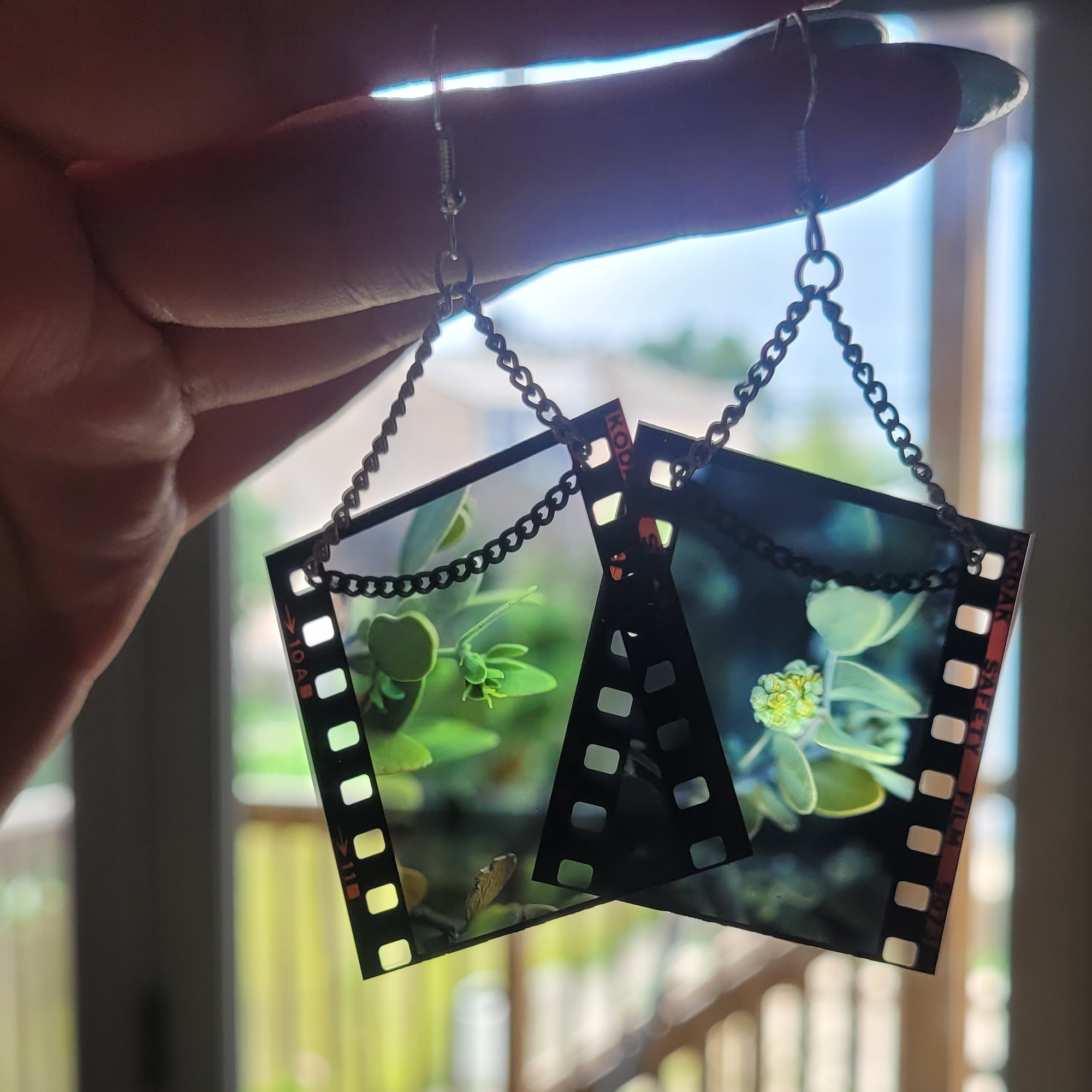 Projector Slide Jojoba Plant Earrings